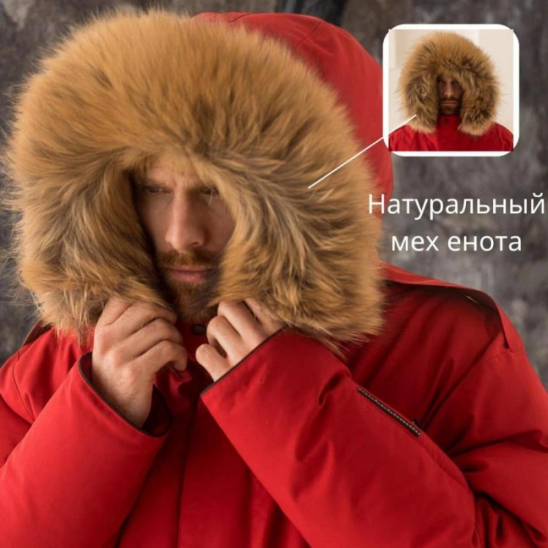 Mexo��� o����� �� ������� �� �po���o���e�� L�DY F��